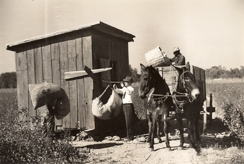 Cotton House d992c0074e7b65f7e90c24dae5268d59