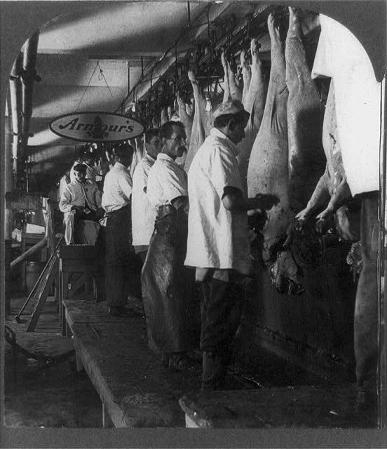 armour-hog-scraping-rail-1909