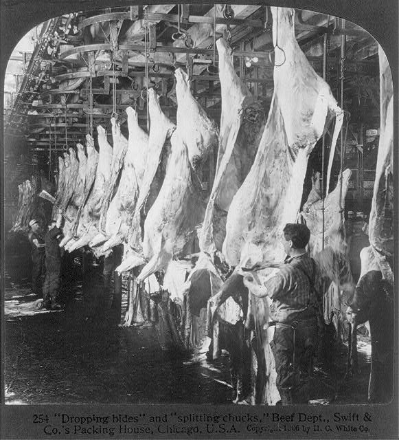 swift-dropping-hides-splitting-chucks-beef-dept-1906