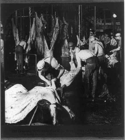Meatpacking Industry Chicago 1900s