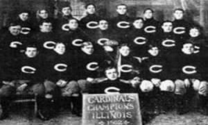 ragens-colts-cardschi-cityin-a-garden-blogspot